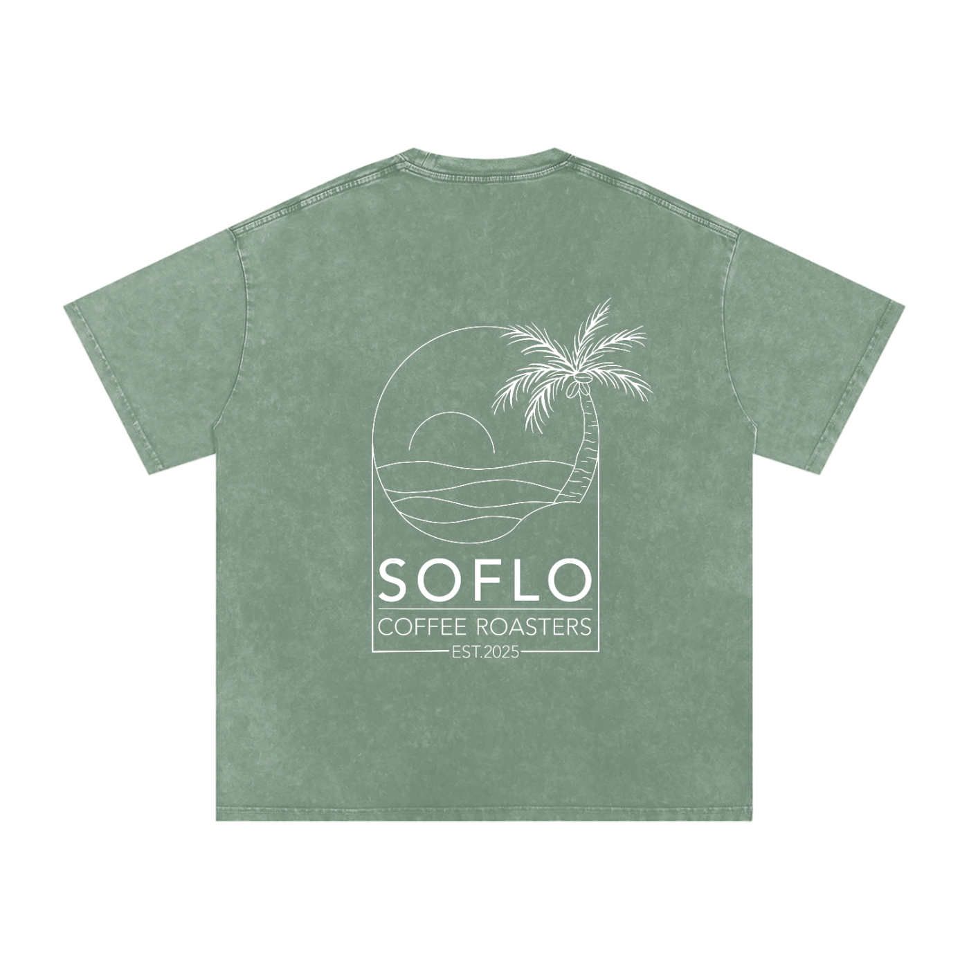 Snow Washed Oversized Tee