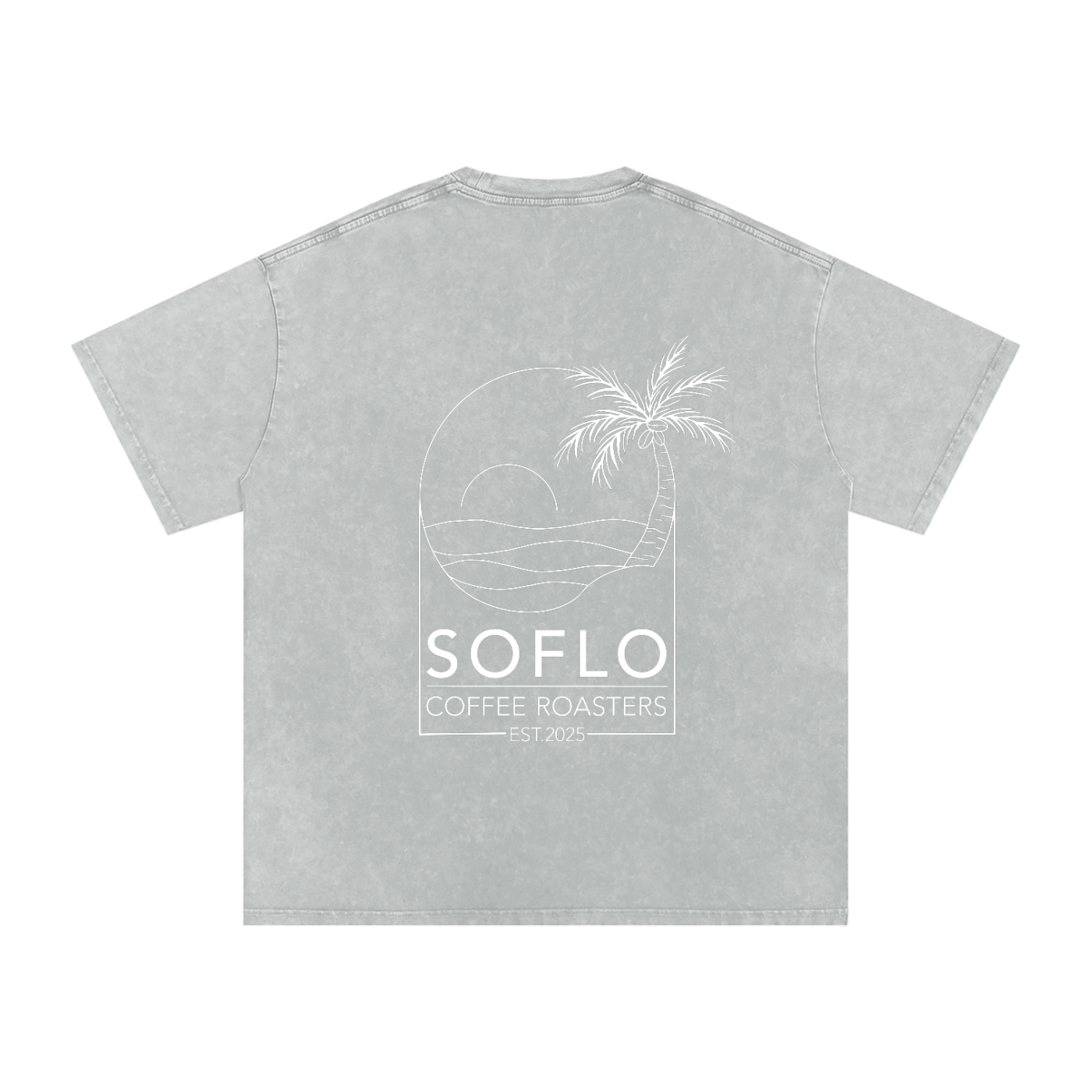 Snow Washed Oversized Tee