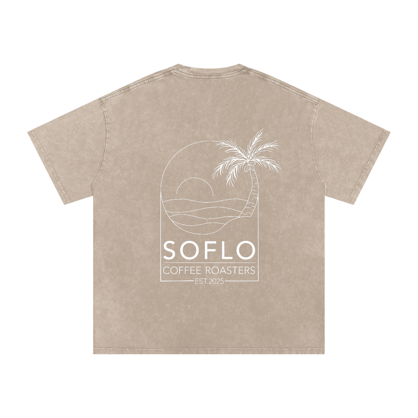 Snow Washed Oversized Tee