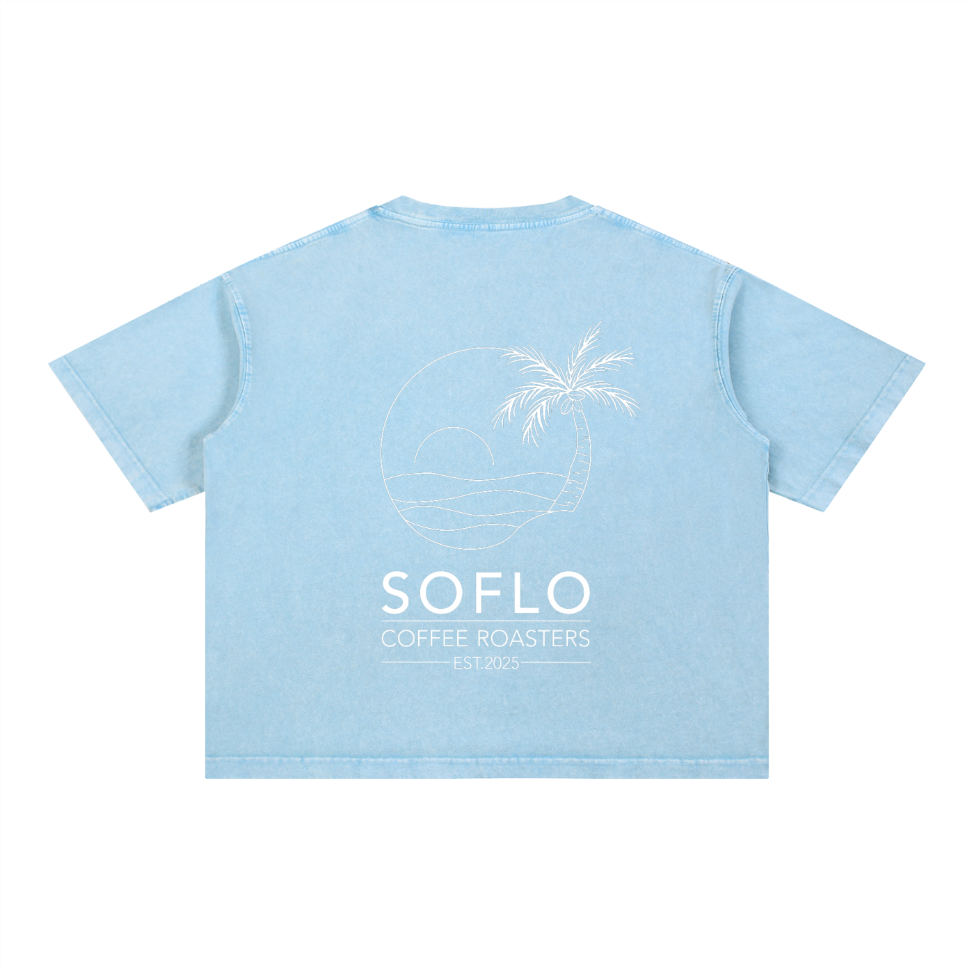 Mineral Wash Boxy Tee