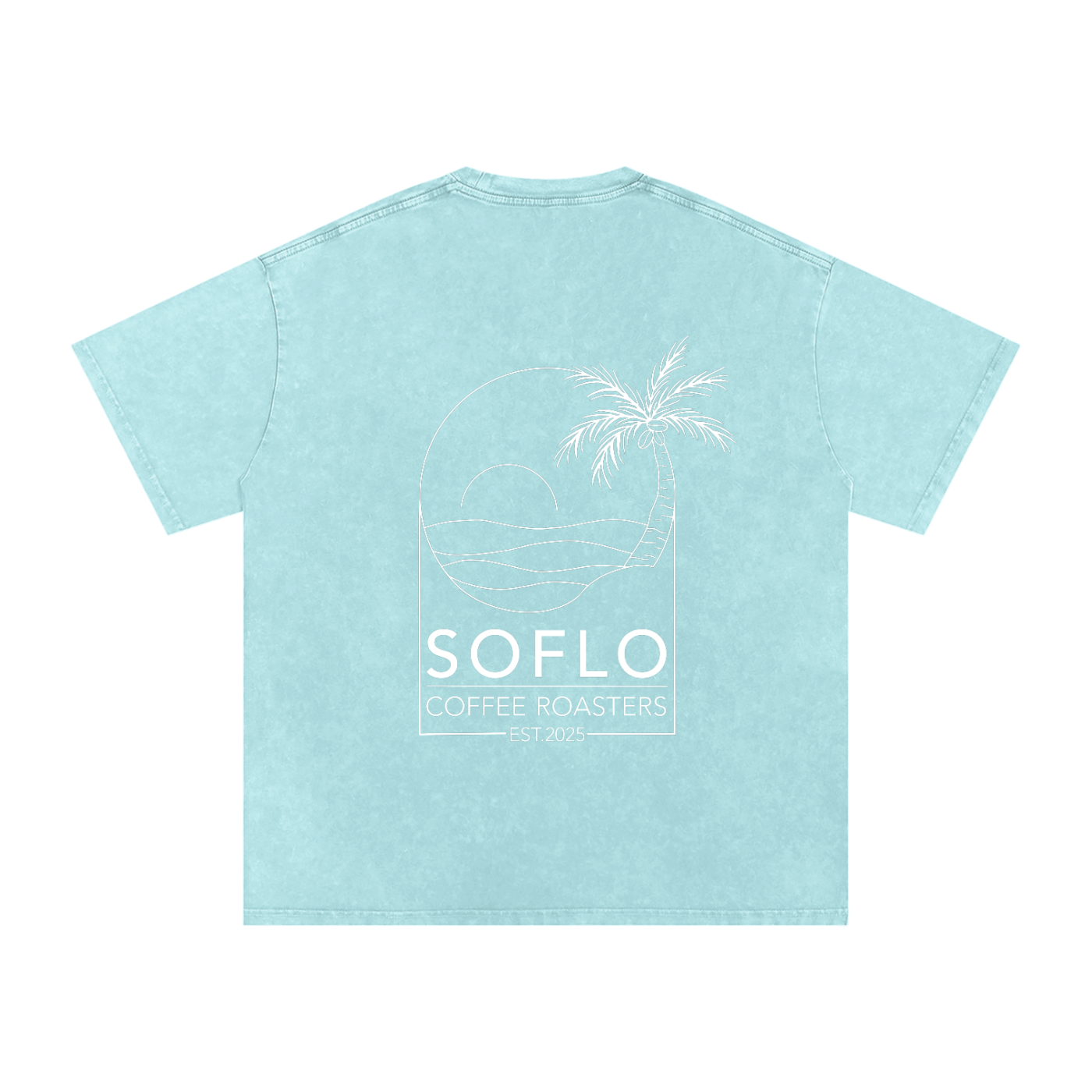Snow Washed Oversized Tee
