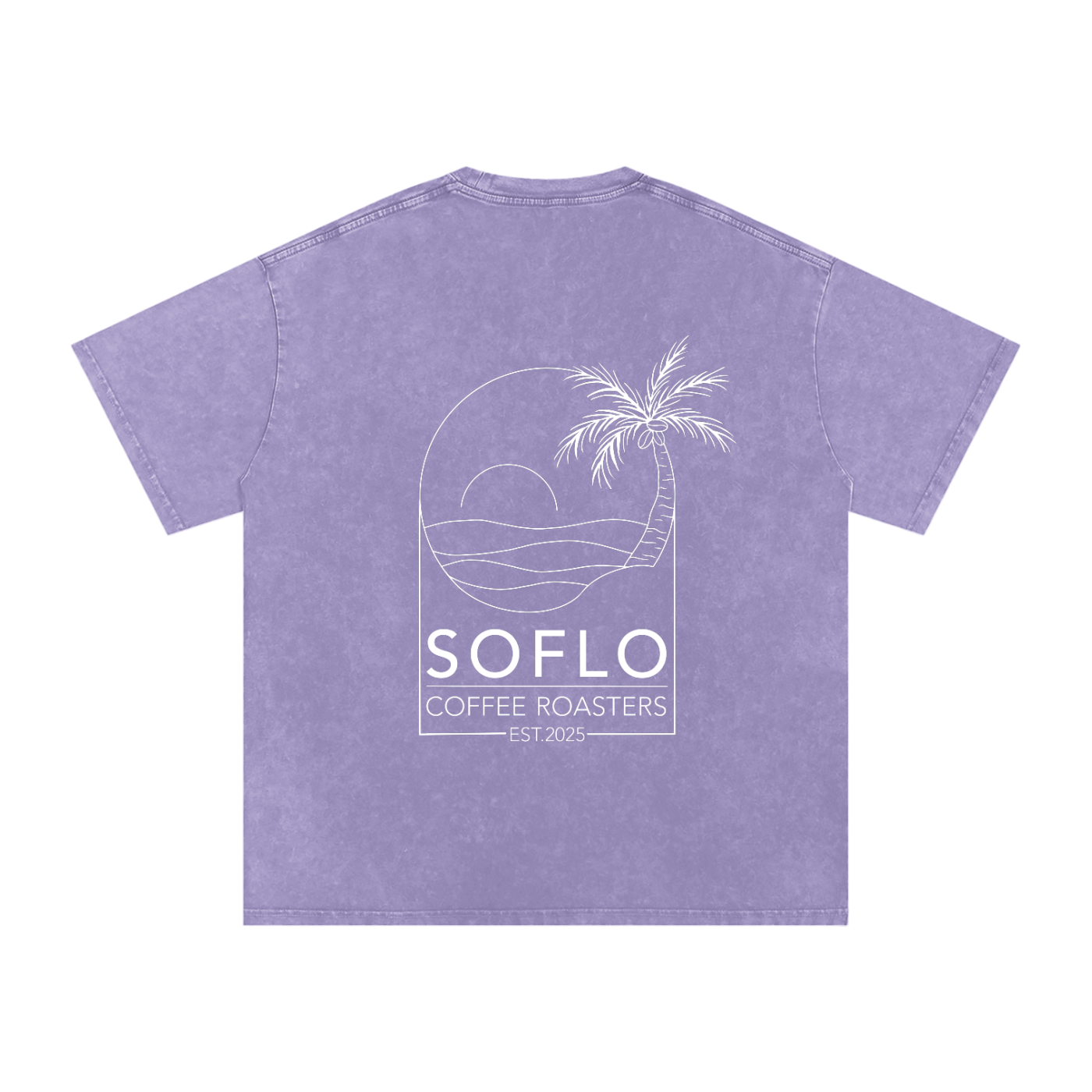 Snow Washed Oversized Tee