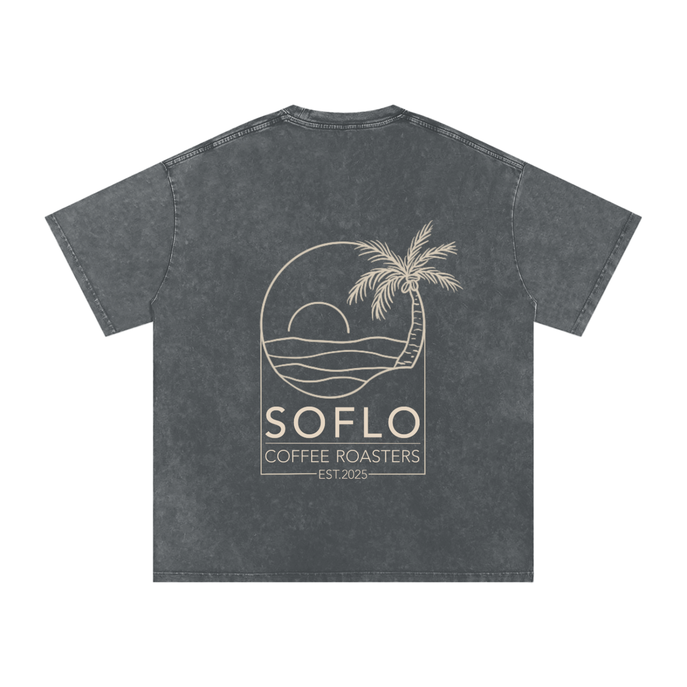 Snow Washed Oversized Cotton T-Shirt