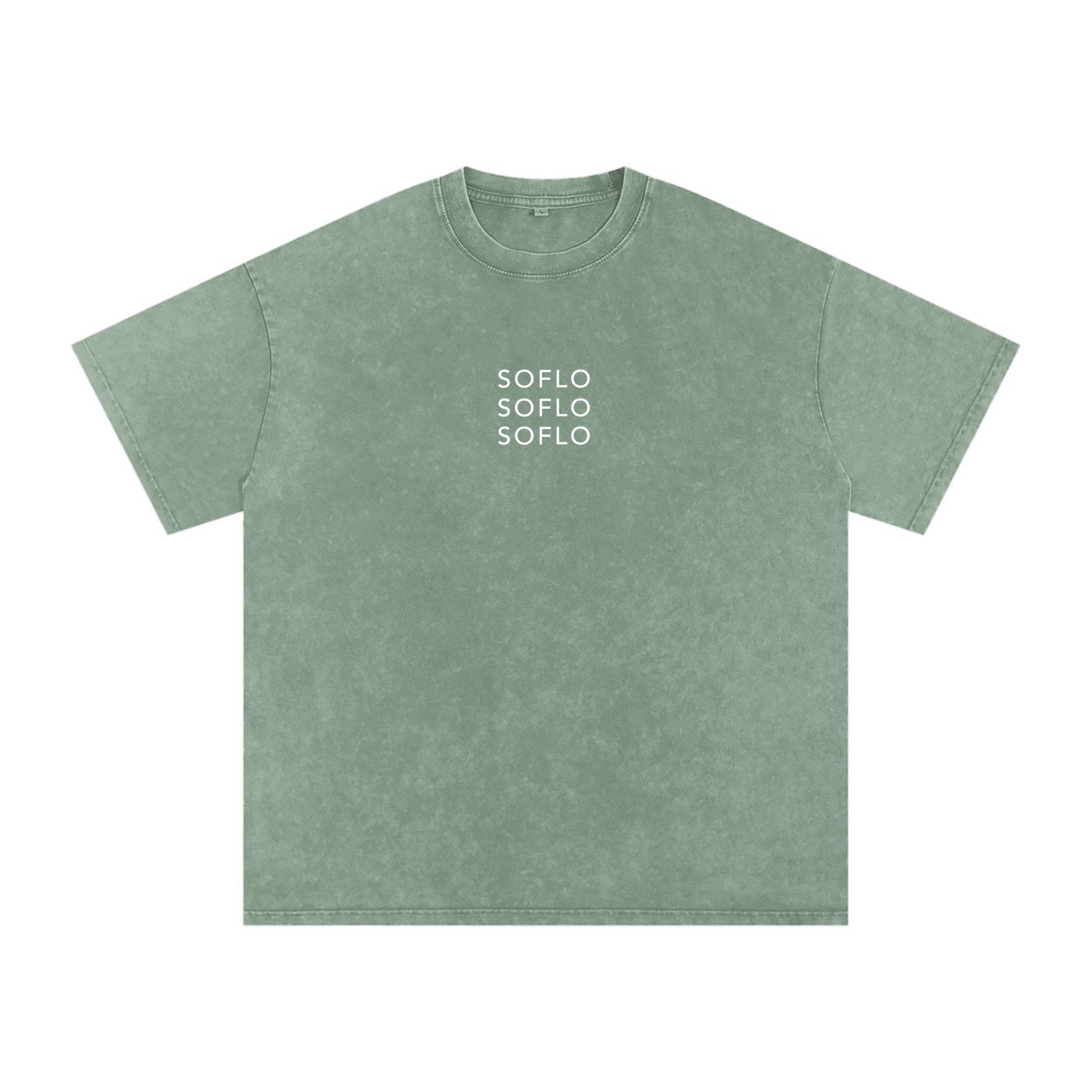 Snow Washed Oversized Tee