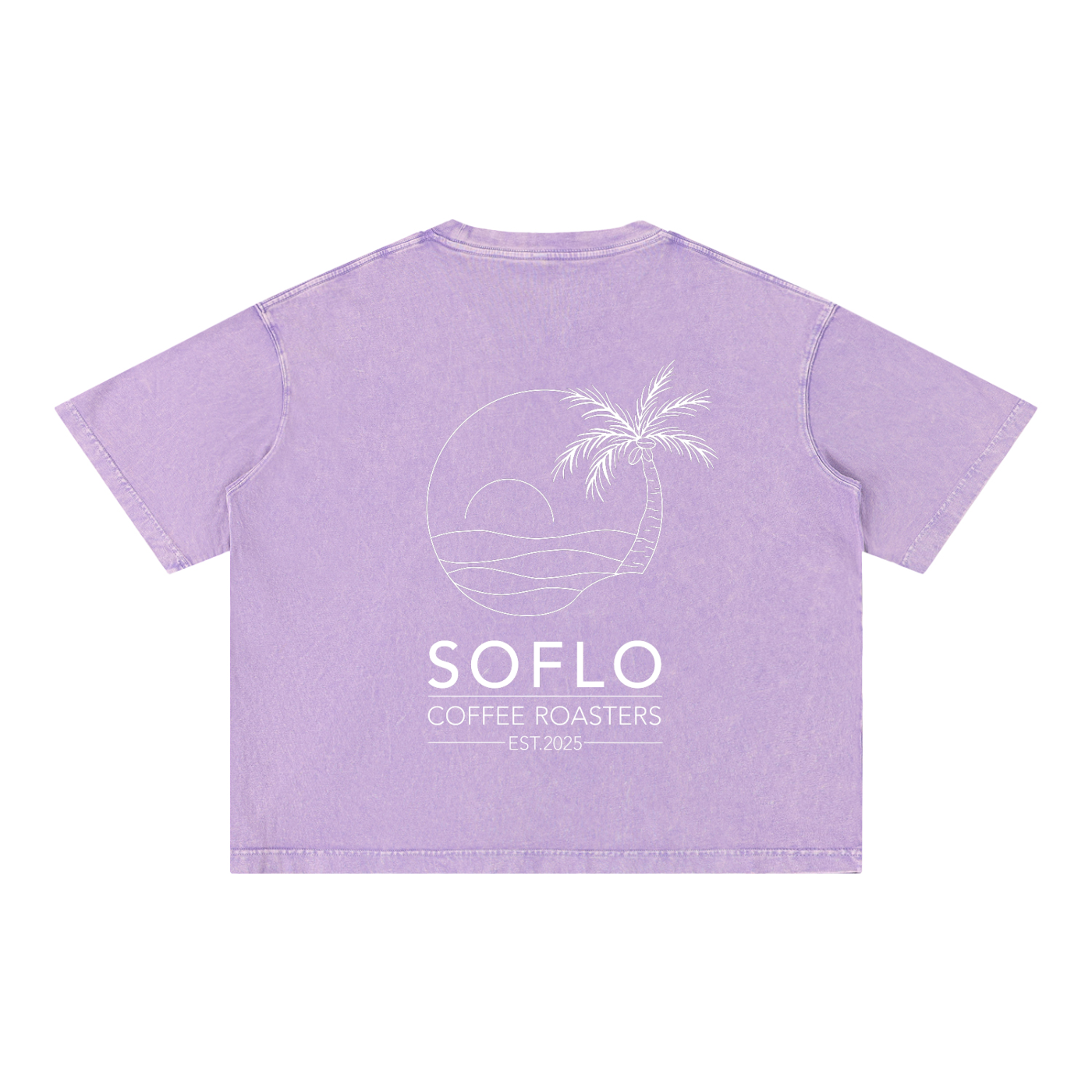 Mineral Wash Boxy Tee
